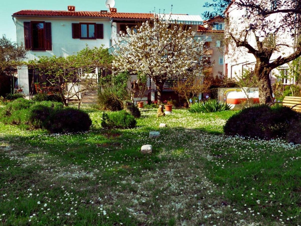 Rosa 2 Appartamento