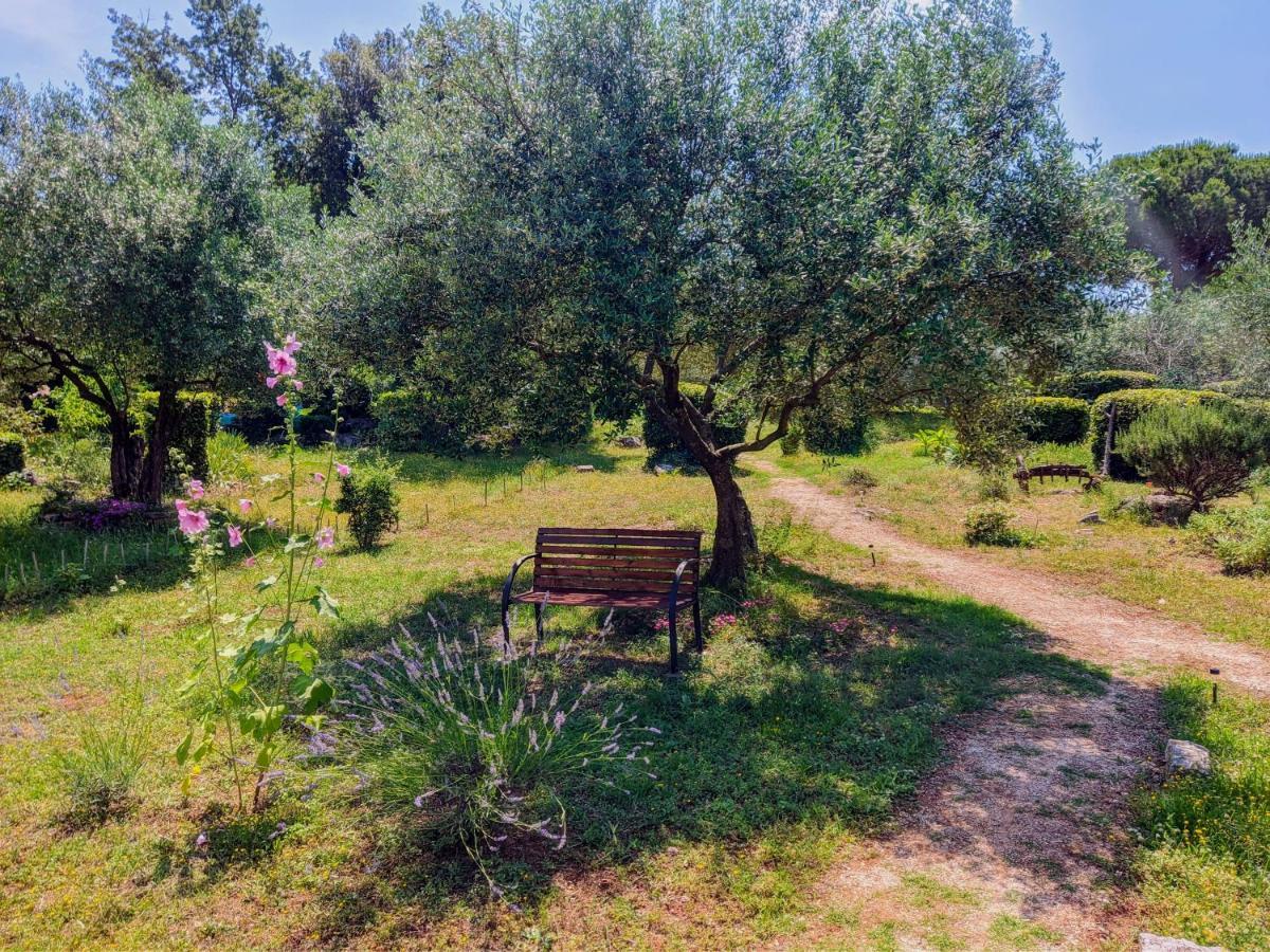 Apartment Rosa 2 *